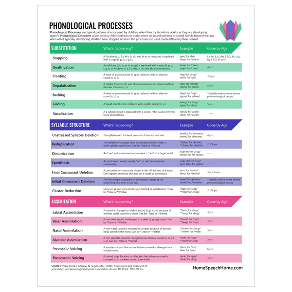 Phonological Processes Are Different From Articulation Disorders