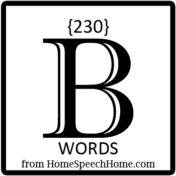 B. Words beginning with B flashcards